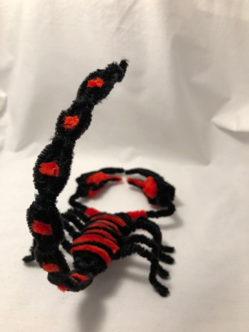 pipe cleaner scorpion back